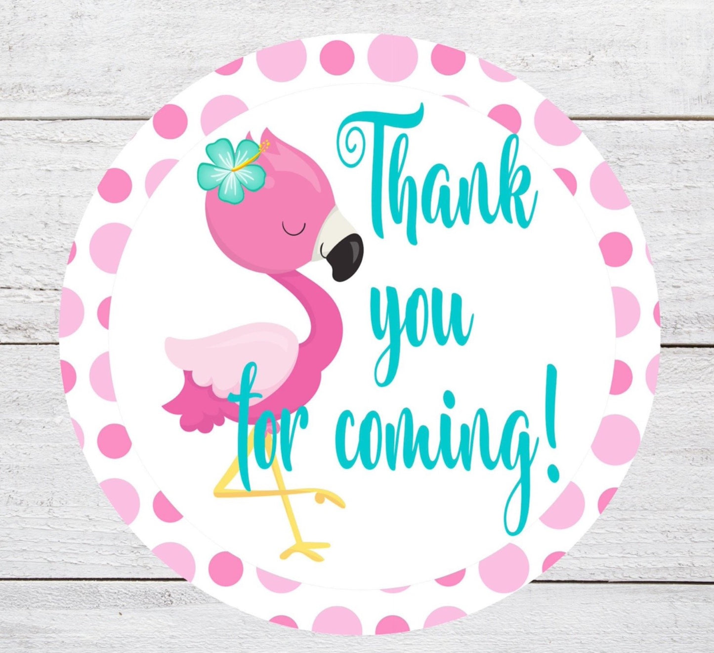 thank you for coming flamingo