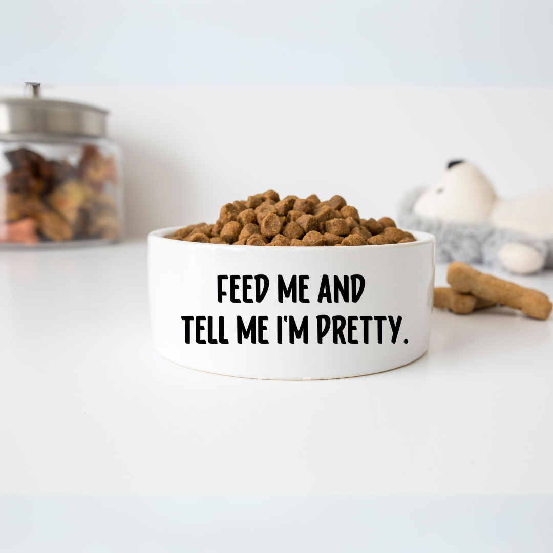 Ceramic Dog Bowl- Feed me