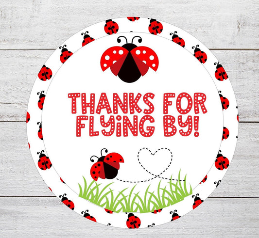 Ladybug Birthday Thank you for Coming